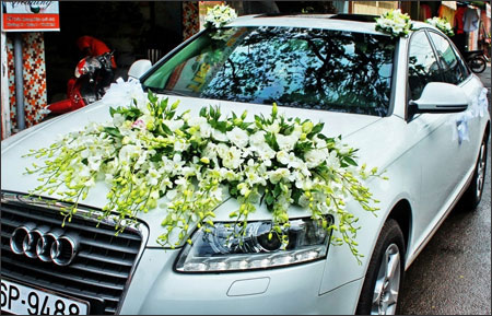 Album hoa trang trí xe cưới